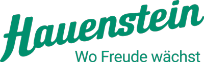 Logo Hauenstein AG