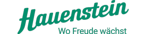 Hauenstein AG